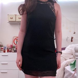 Lace Collar Shift Dress